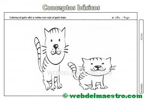 Actividades con conceptos basicos-Alto-bajo