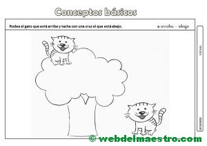 Actividades con conceptos basicos-Arriba-abajo