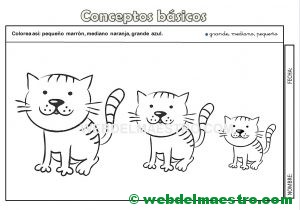 Actividades-grande-mediano-pequeño