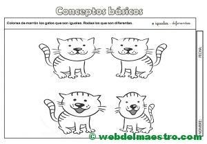 Actividades-iguales-diferentes