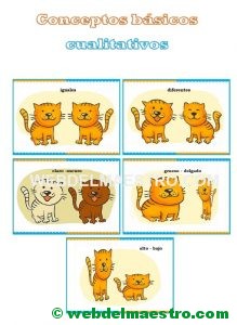 Conceptos básicos cualitativos