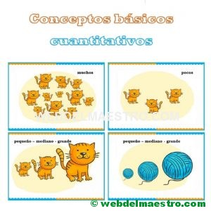Conceptos básicos cuantitativos