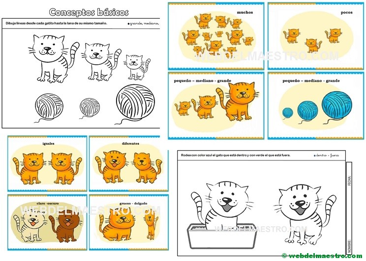 Conceptos básicos: imágenes y actividades