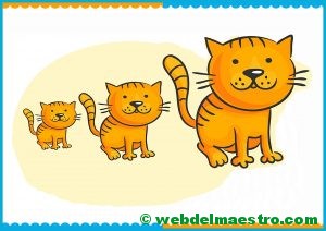 Grande-mediano-pequeño