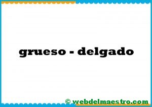 grueso - delgado-