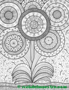 Dibujo nº 15-Planta con flores