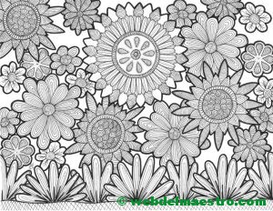 Dibujo nº 3- Las flores