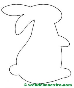 conejo-5