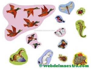 Animales de las estaciones del año-2