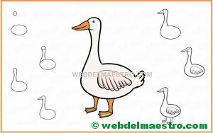 Como dibujar una oca