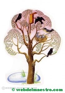 La primavera y los pájaros