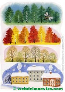 Primavera, verano, otoño e invierno