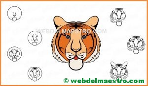 como dibujar la cabeza de un tigre-