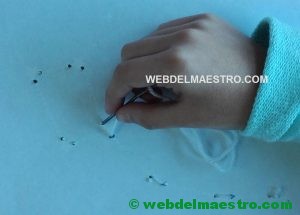 Paso 2 y vista del trabajo por detrás