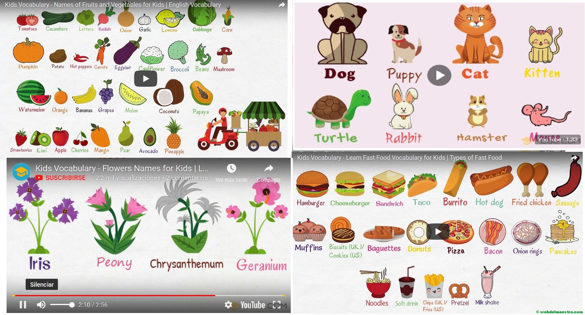 Palabras en inglés (Vídeo-diccionarios)