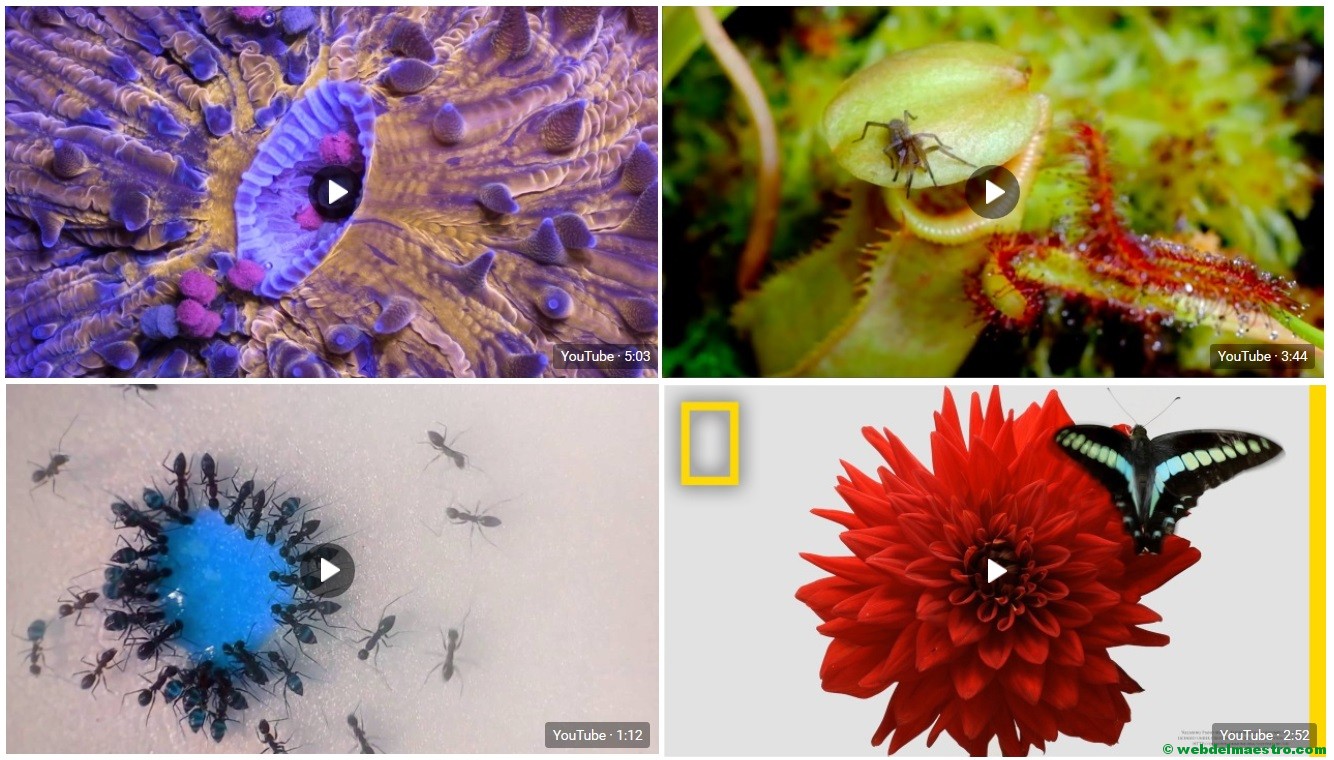 Videos educativos de Ciencias Naturales