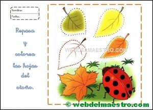 Ficha Educacion Infantil-11