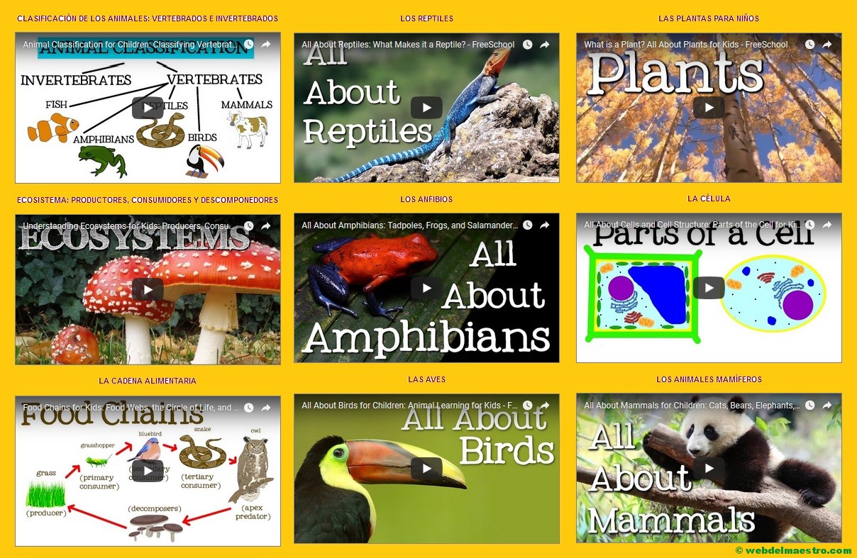 Vídeos de Ciencias Naturales en inglés