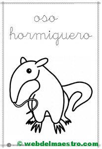 11-oso hormiguero