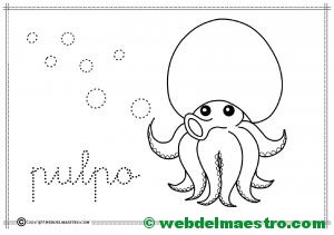 12-pulpo