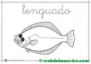 14-lenguado