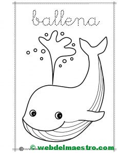 15-ballena