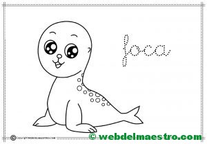 16-foca