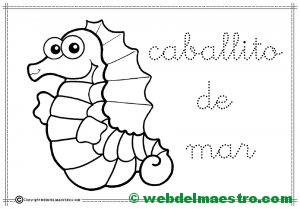 4-caballito de mar