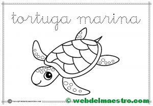5-tortuga marina