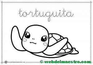 6-tortuguita