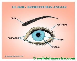 El ojo - Estructuras anejas - Cartel