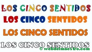 Rótulos- los 5 sentidos