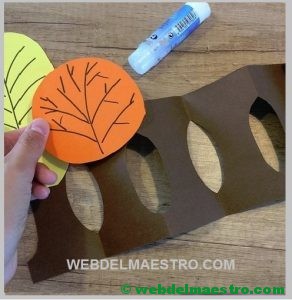 Procedimiento- paso 5