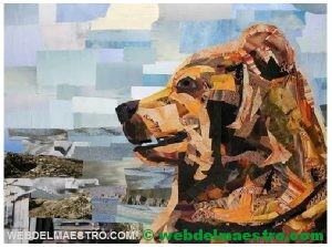 trabajo de collage-14