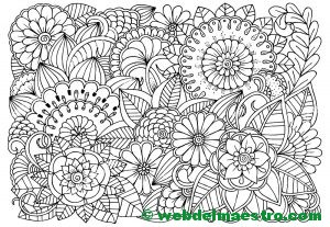 Dibujo de flores para colorear 6
