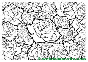 Dibujo de rosas