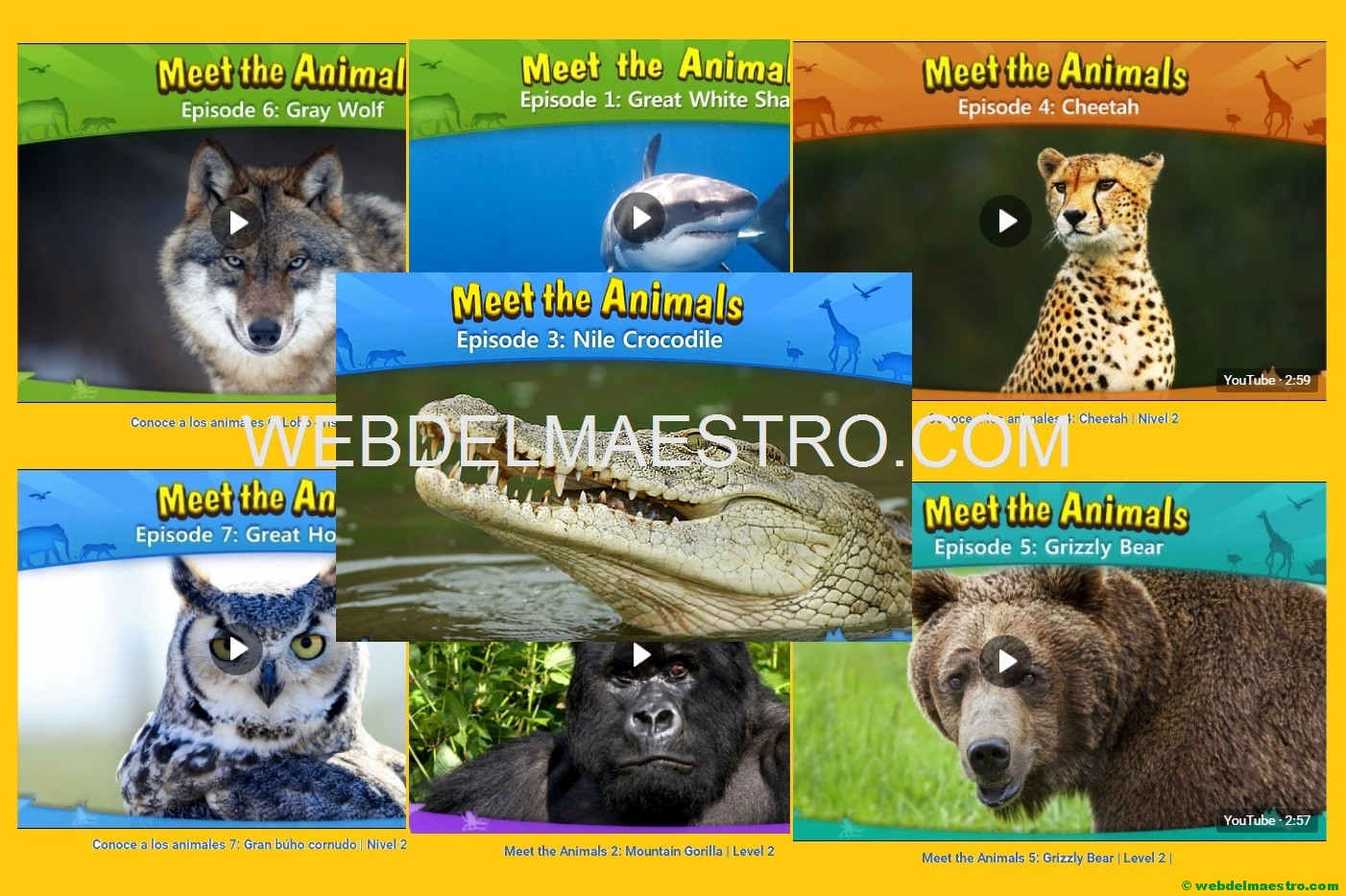 Animales salvajes en inglés