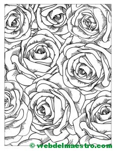 rosas para colorear-4