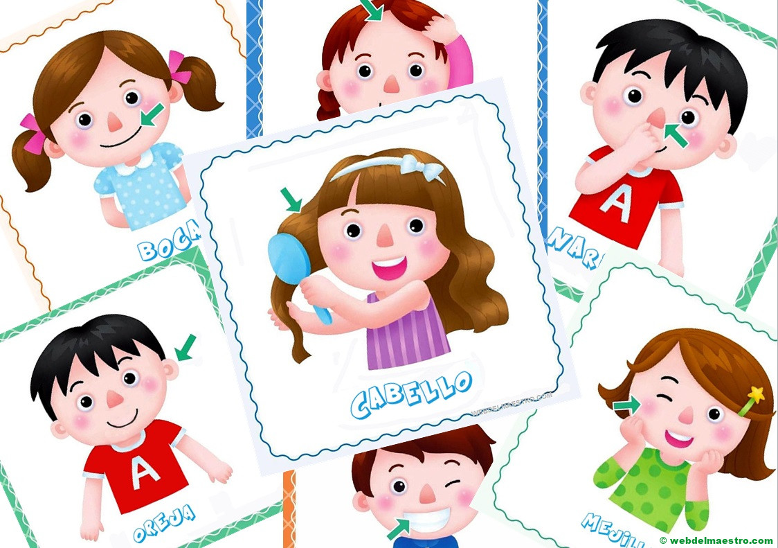 El cuerpo humano para niños de Infantil