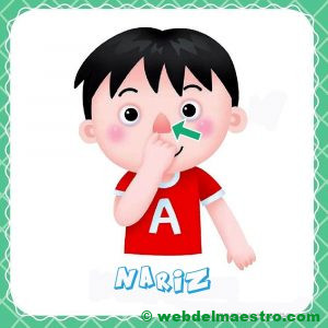 nariz