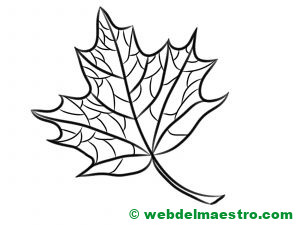 Hojas de otoño dibujo