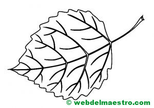 hoja de árbol para colorear-