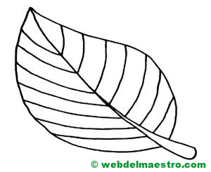 hoja de árbol para colorear--
