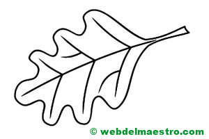 hoja de árbol para colorear----