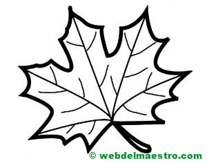 hoja de árbol para colorear