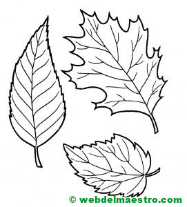 hojas otoño colorear--