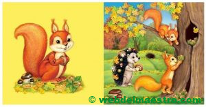 Ardilla - Bosque de otoño