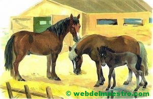 Caballo, yegua y potro