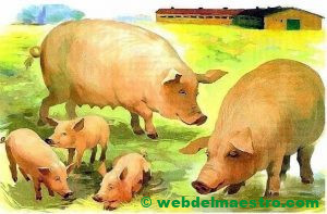 Cerdos macho y hembra y sus lechones