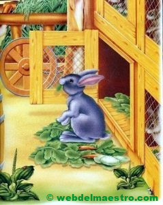 Conejo en su conejera